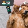 undefined SistemaPet - Criador